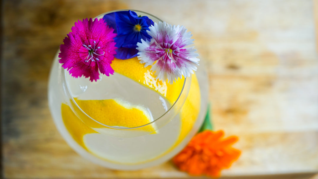 Elderflower and Lemon Gin Fizz