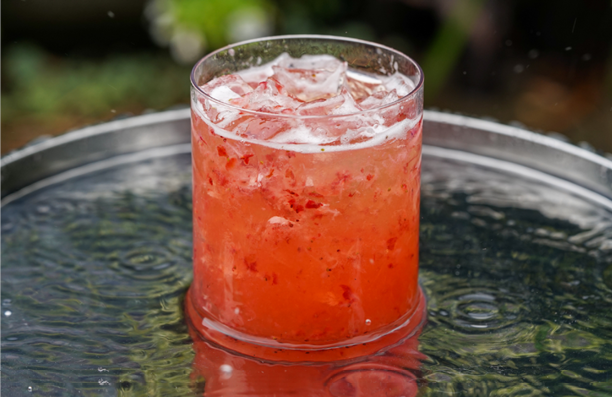 Havana Splash