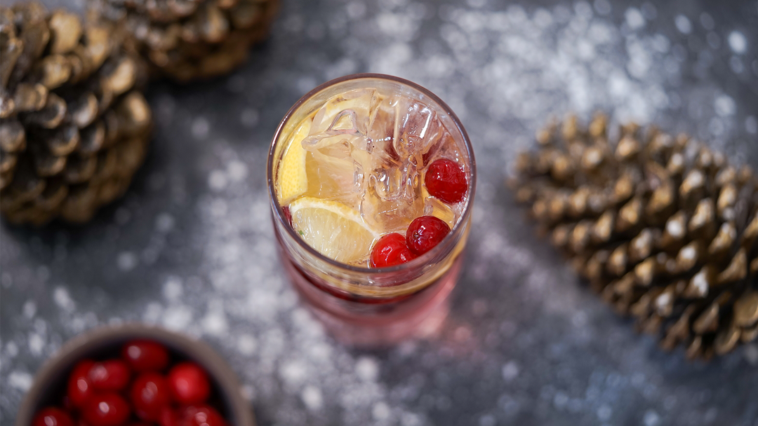 Cranberry Mojito