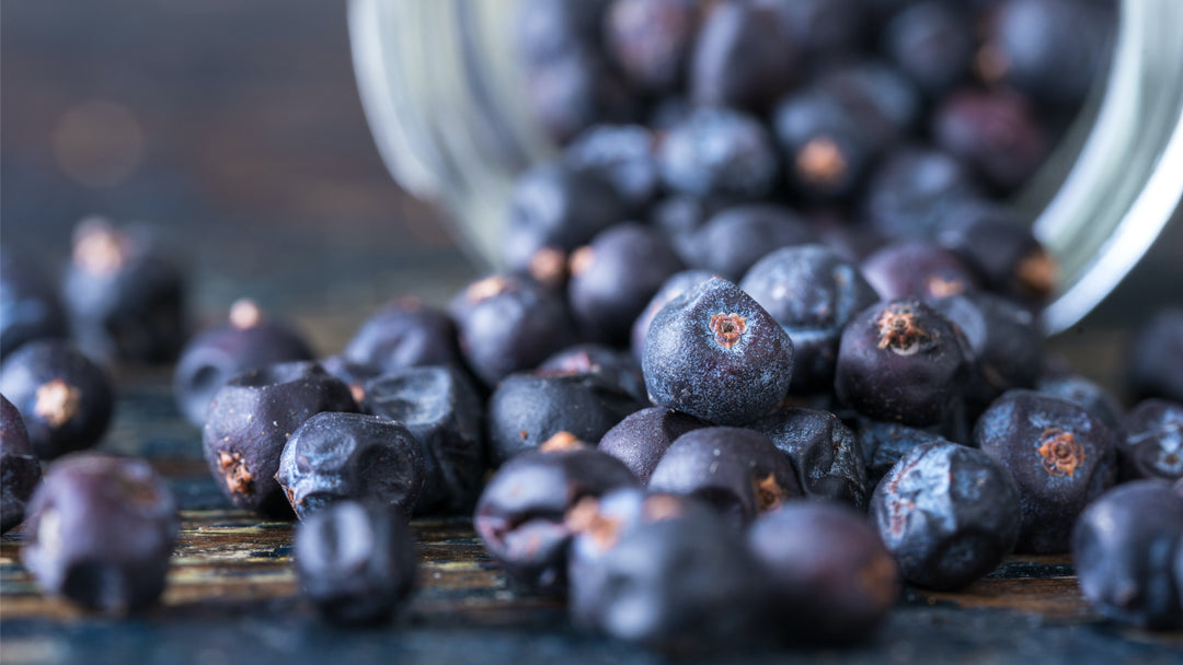 Four Excellent Health Benefits of Drinking Gin
